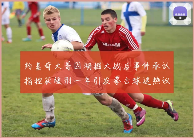 约基奇大哥因湖掘大战后事件承认指控获缓刑一年引发拳击球迷热议